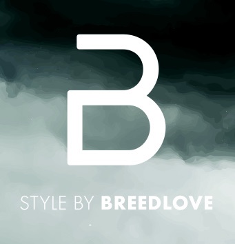 Style By Breedlove Logo